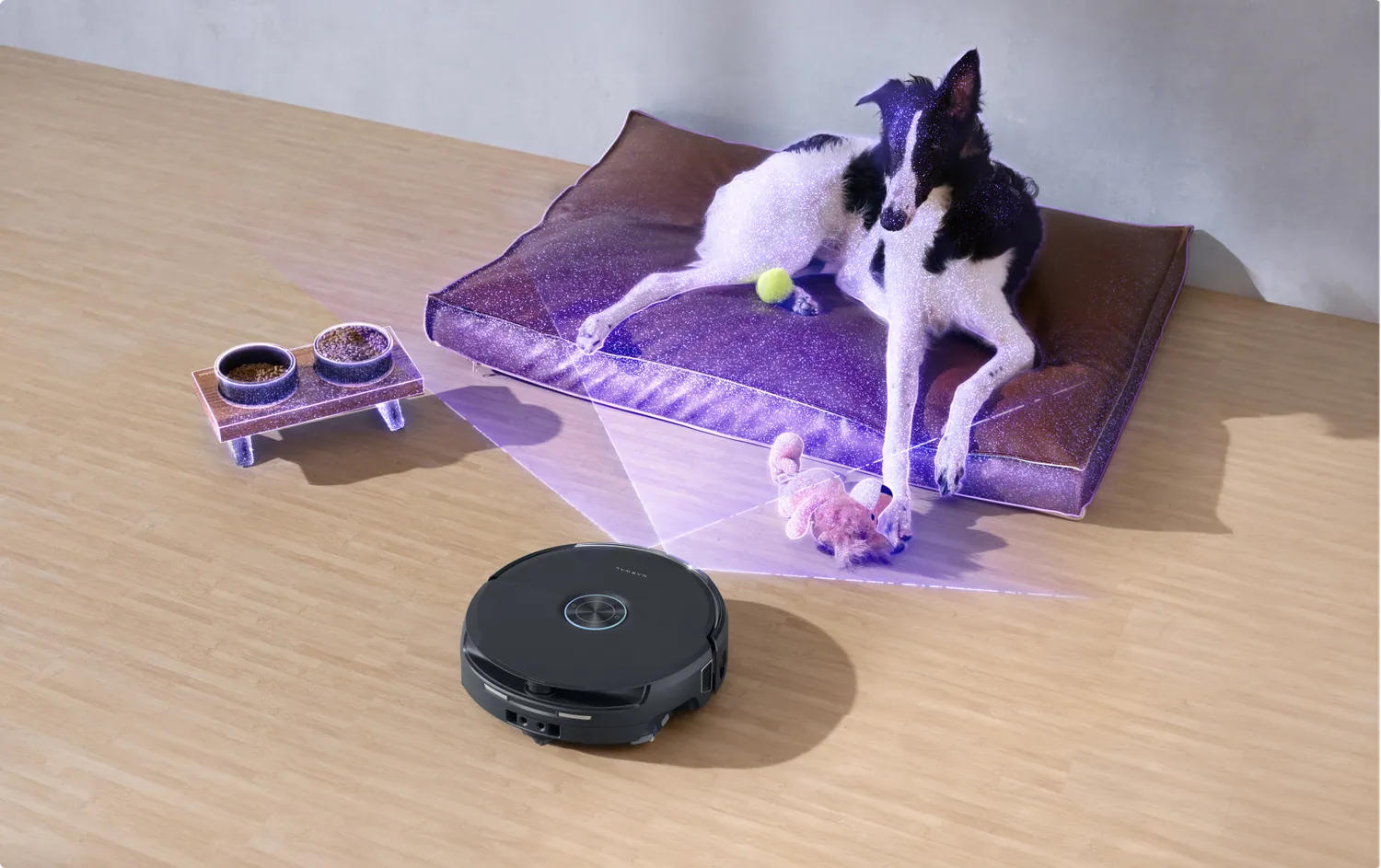 Pets, bowls, toys